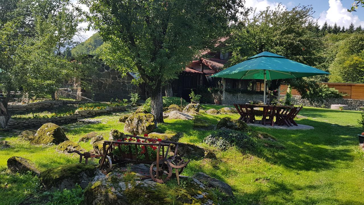Villa Casa Bunicului Vistisoara Exterior foto
